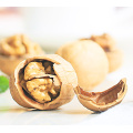 Walnuts Dried Natural Nut high quality top grade AA extra light